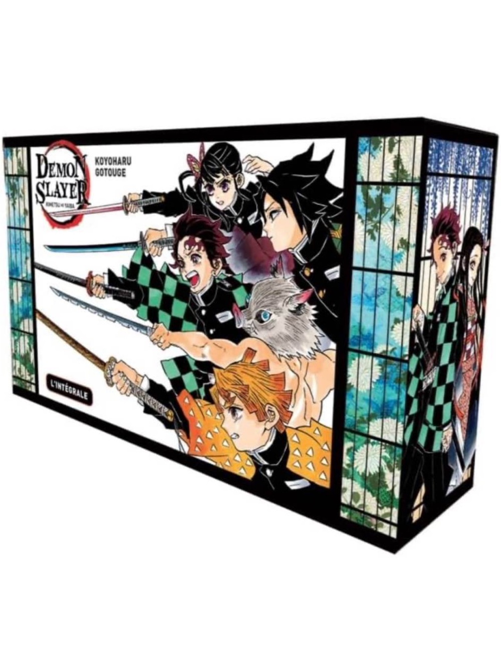 French Demon Slayer Book Set - Read description
